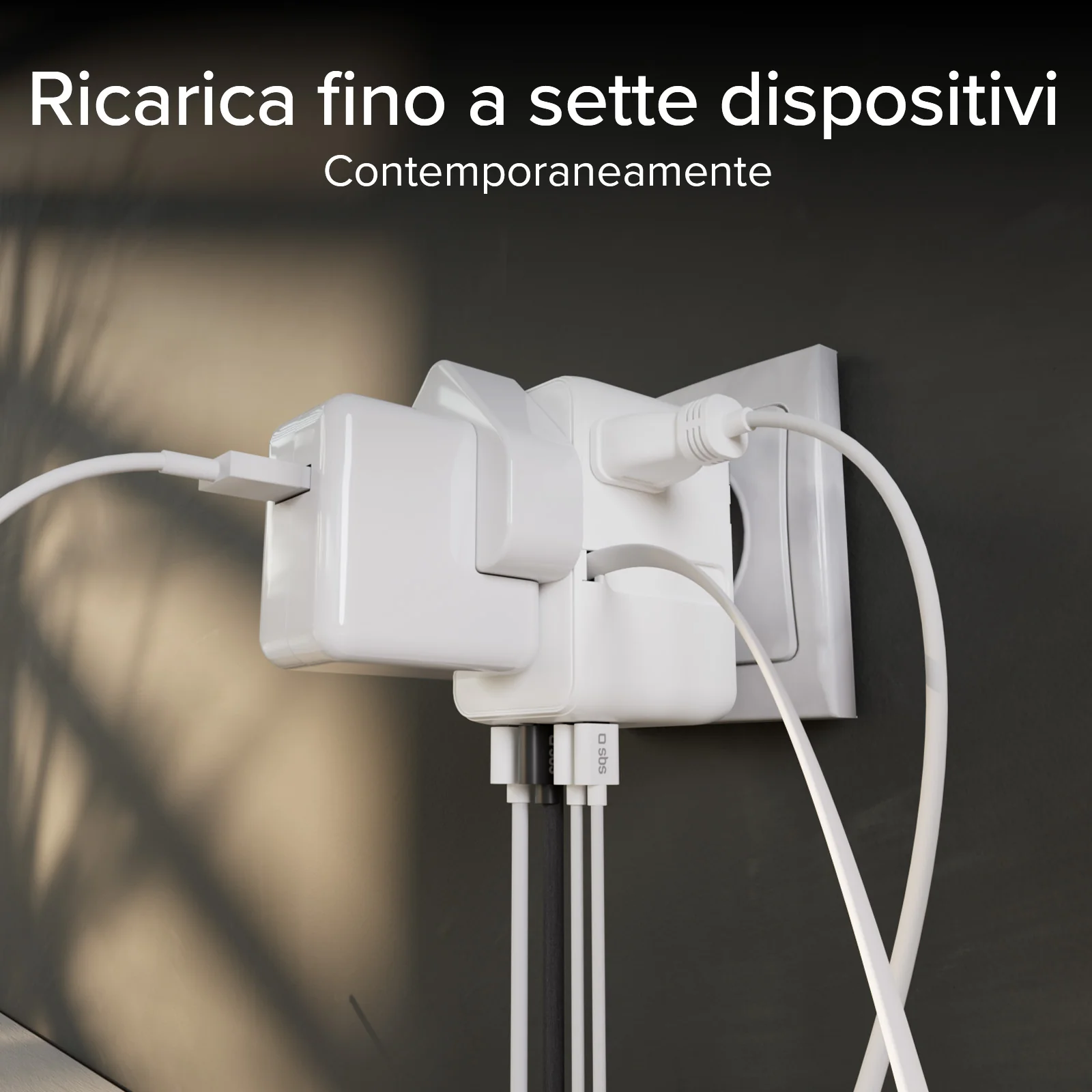 Miniatura 24
