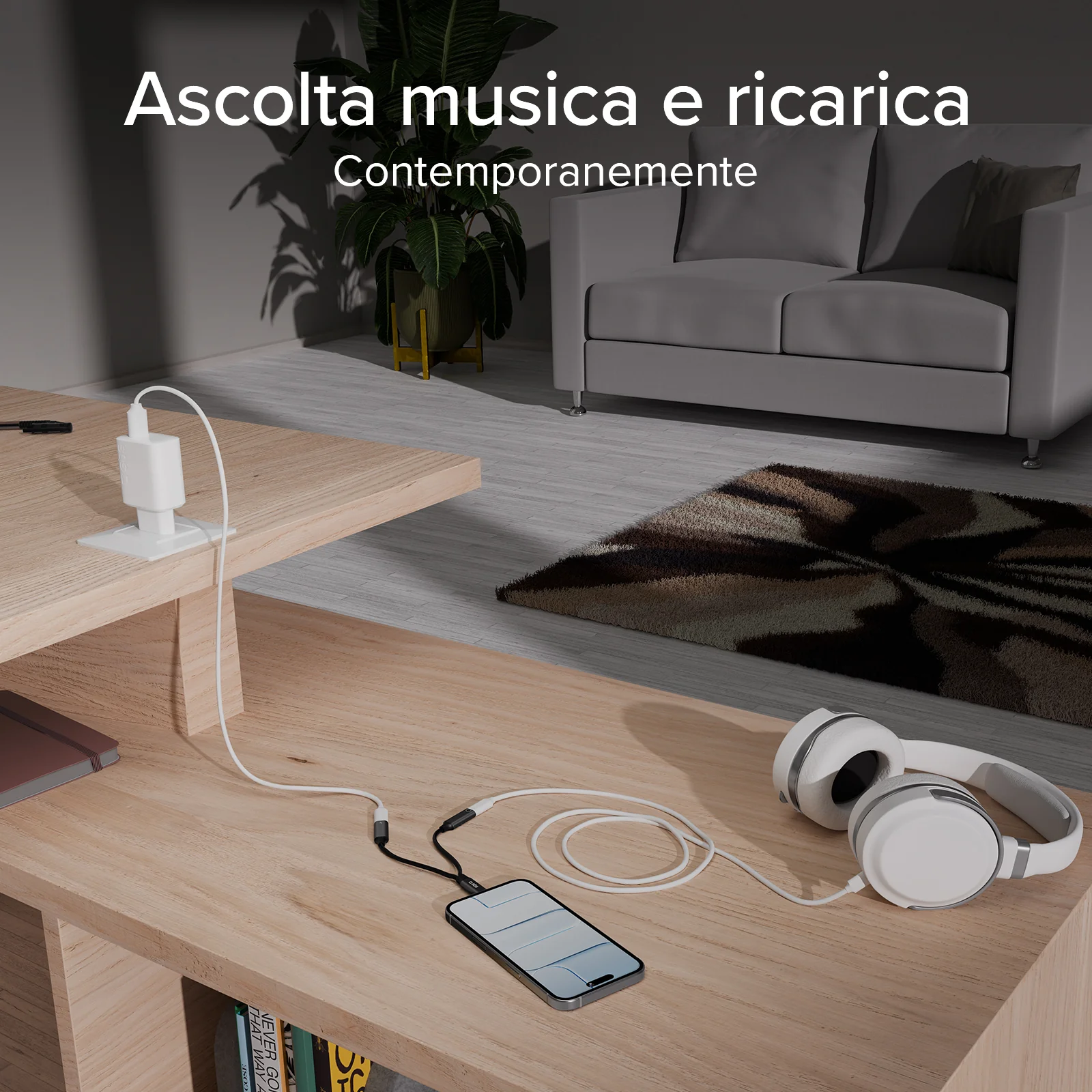 Miniatura 13