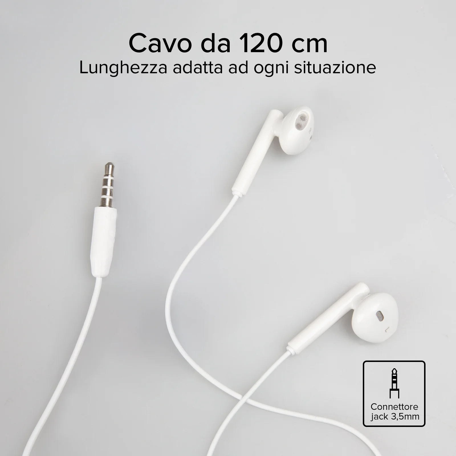 Miniatura 10