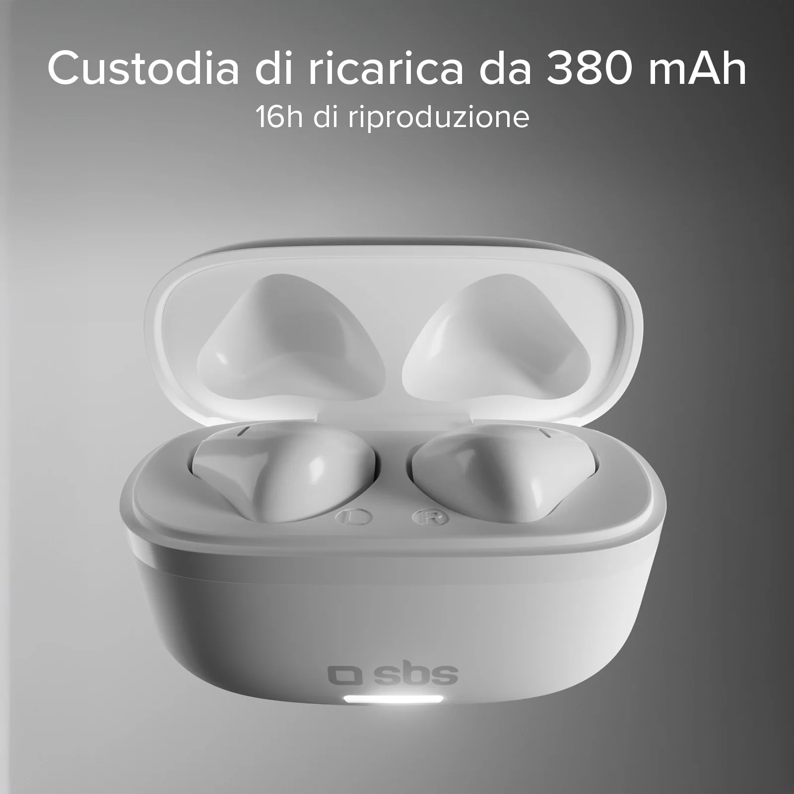 Miniatura 11