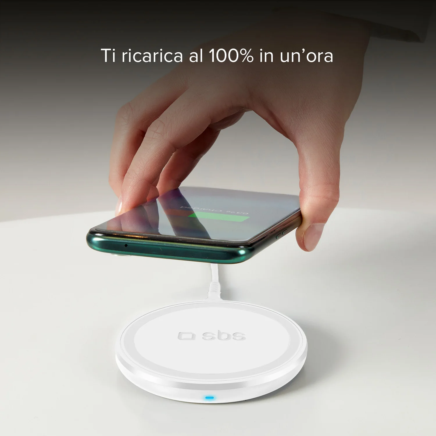 Miniatura 13
