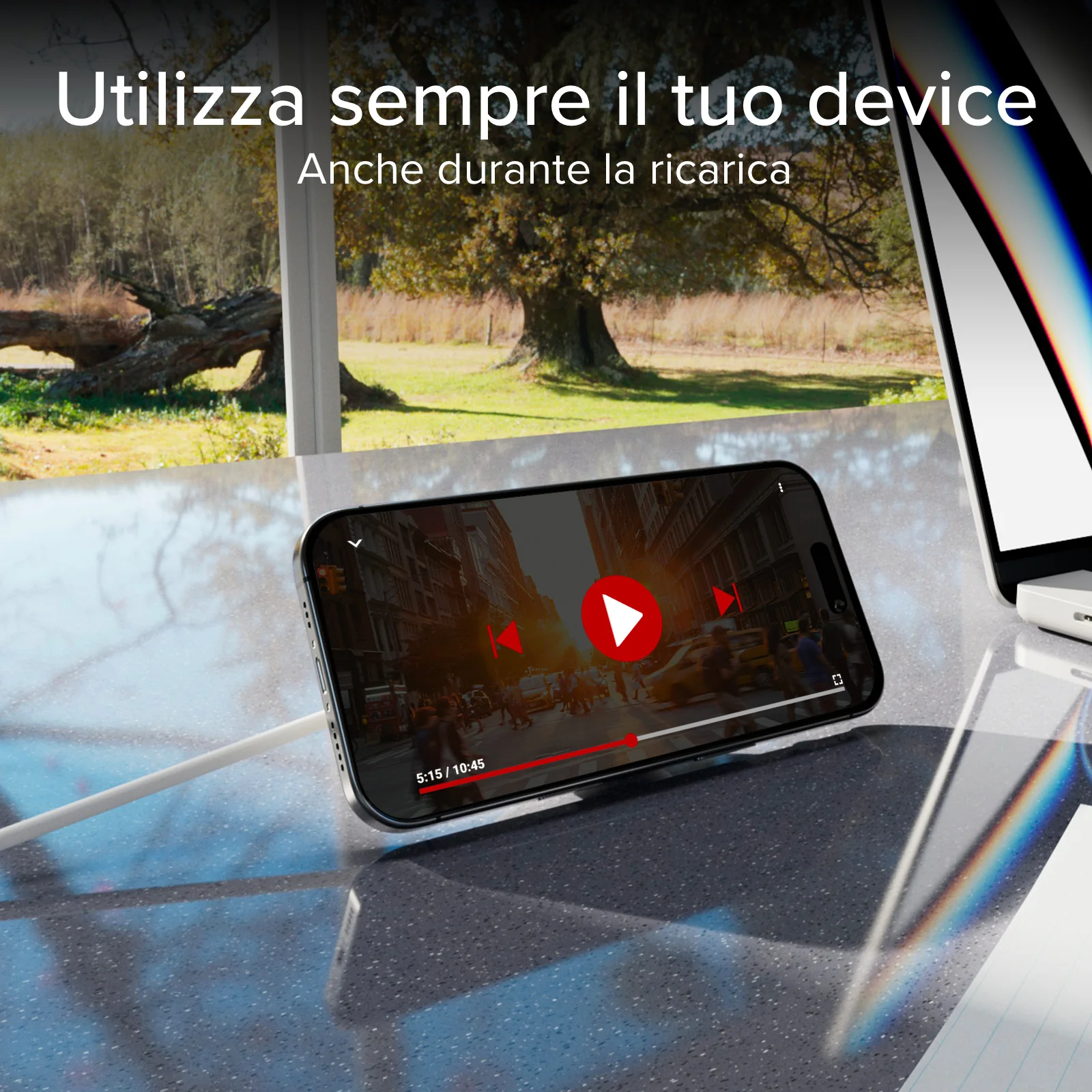 Miniatura 13