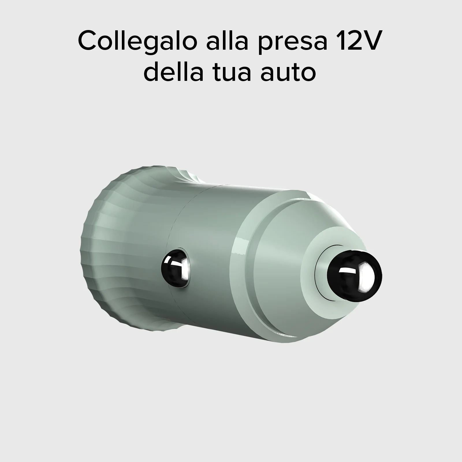 Miniatura 11