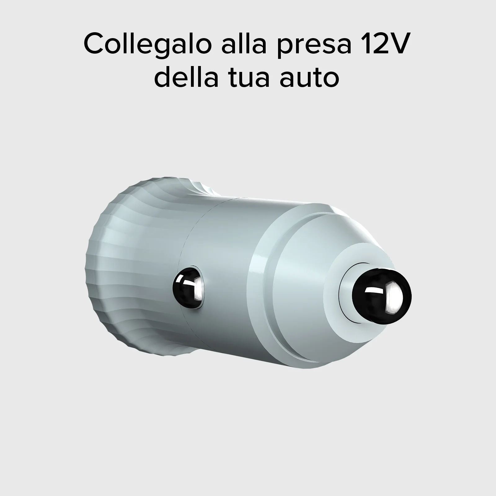 Miniatura 24