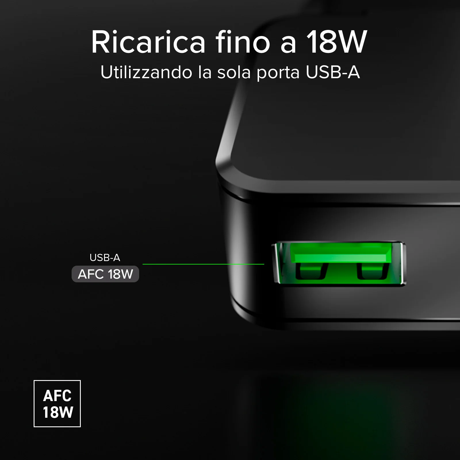Miniatura 13