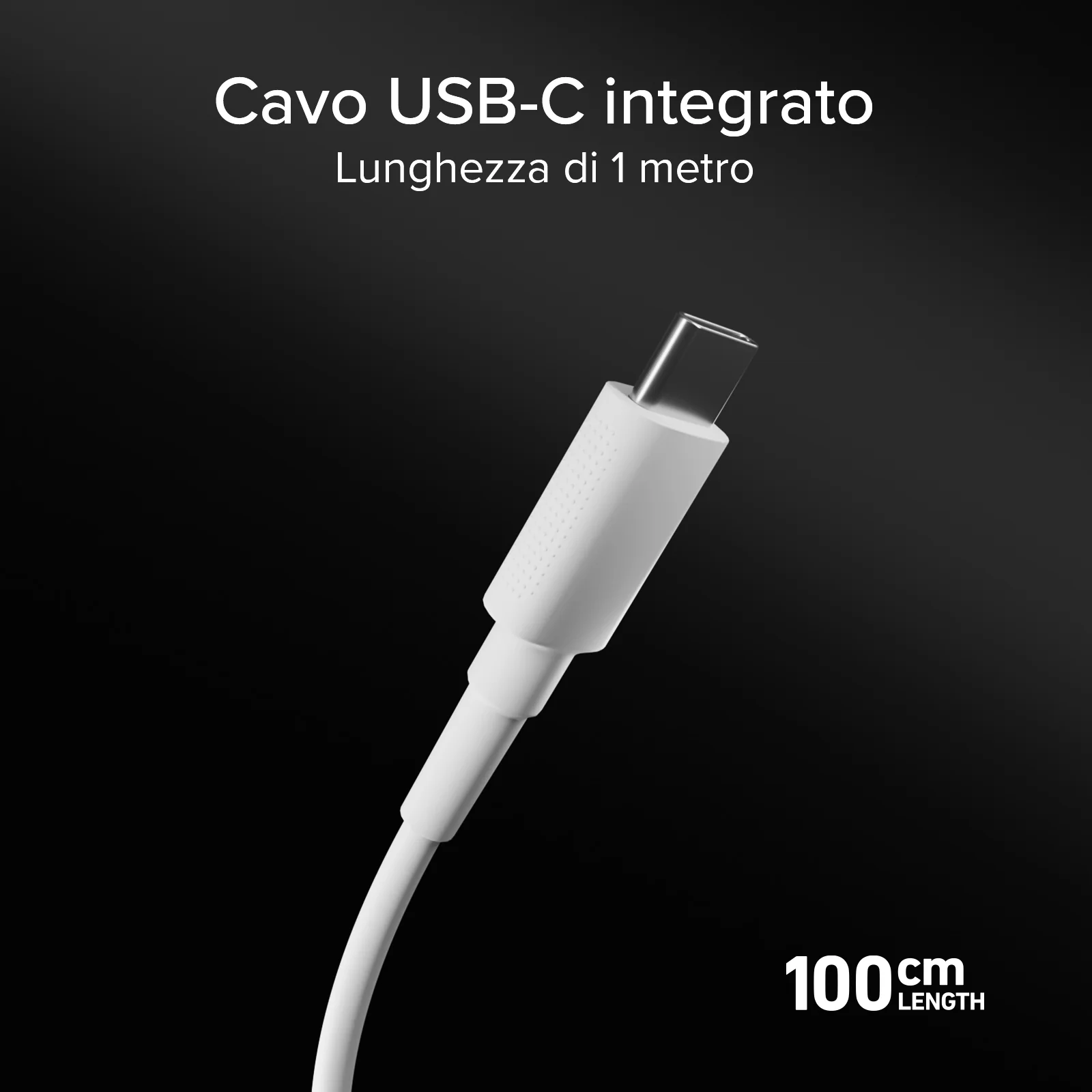 Miniatura 13