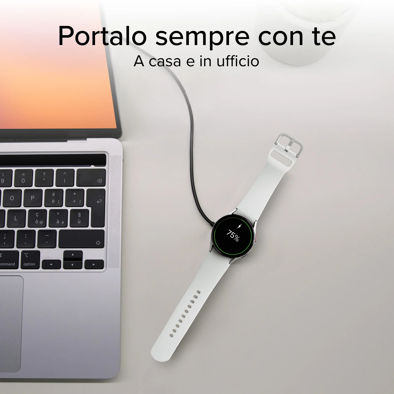 Miniatura 12