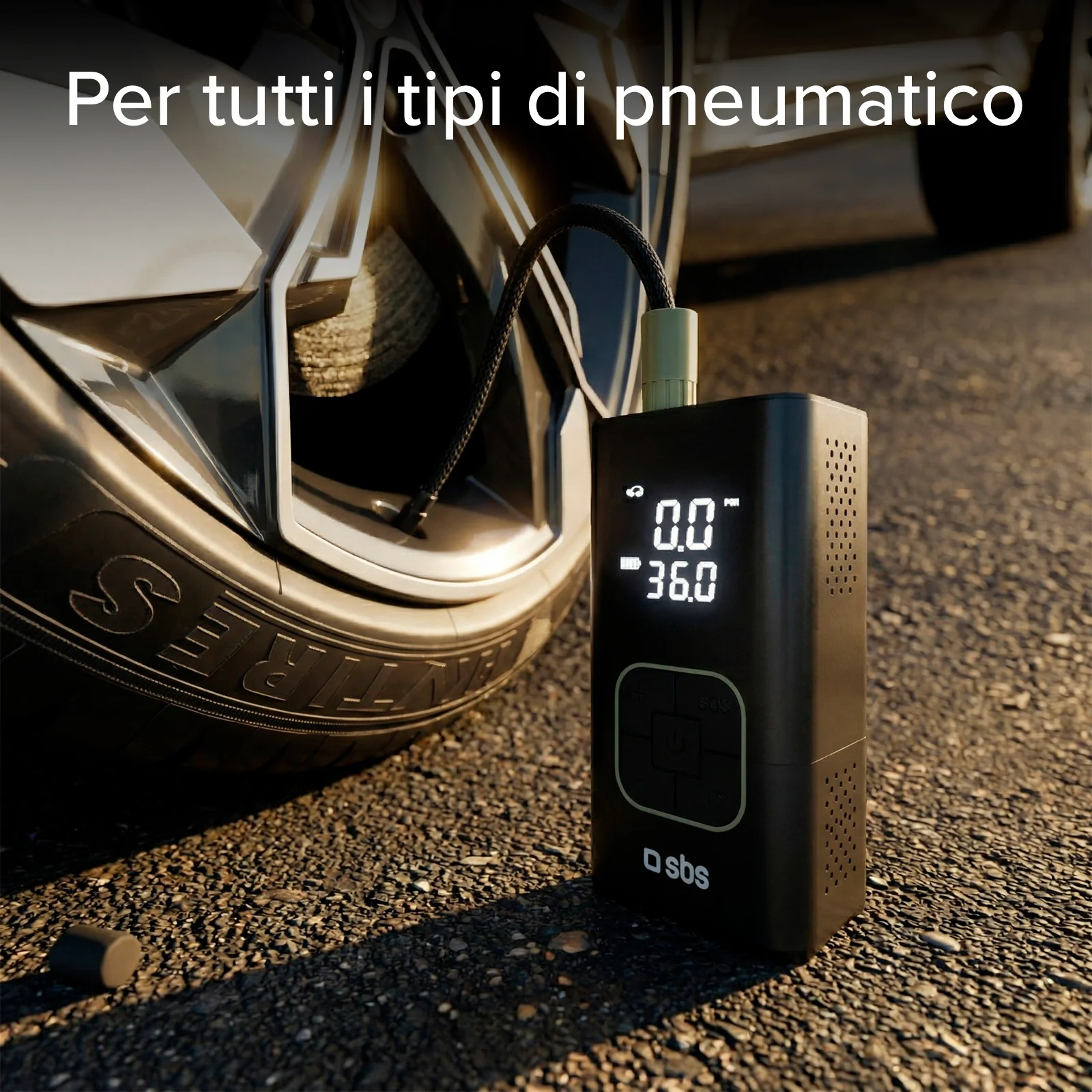 Miniatura 15