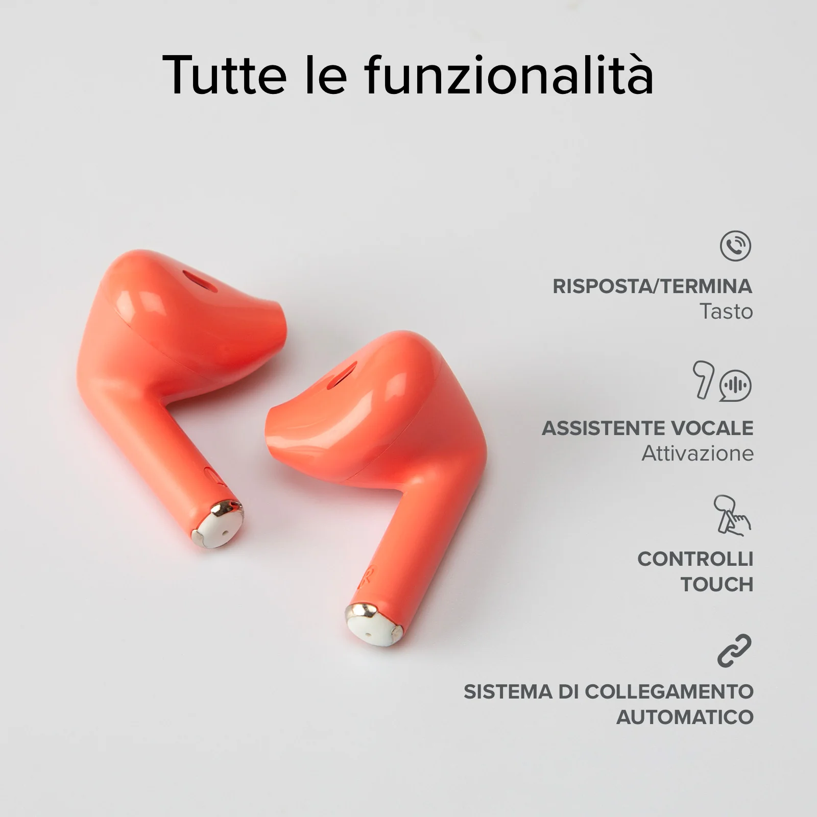 Miniatura 65