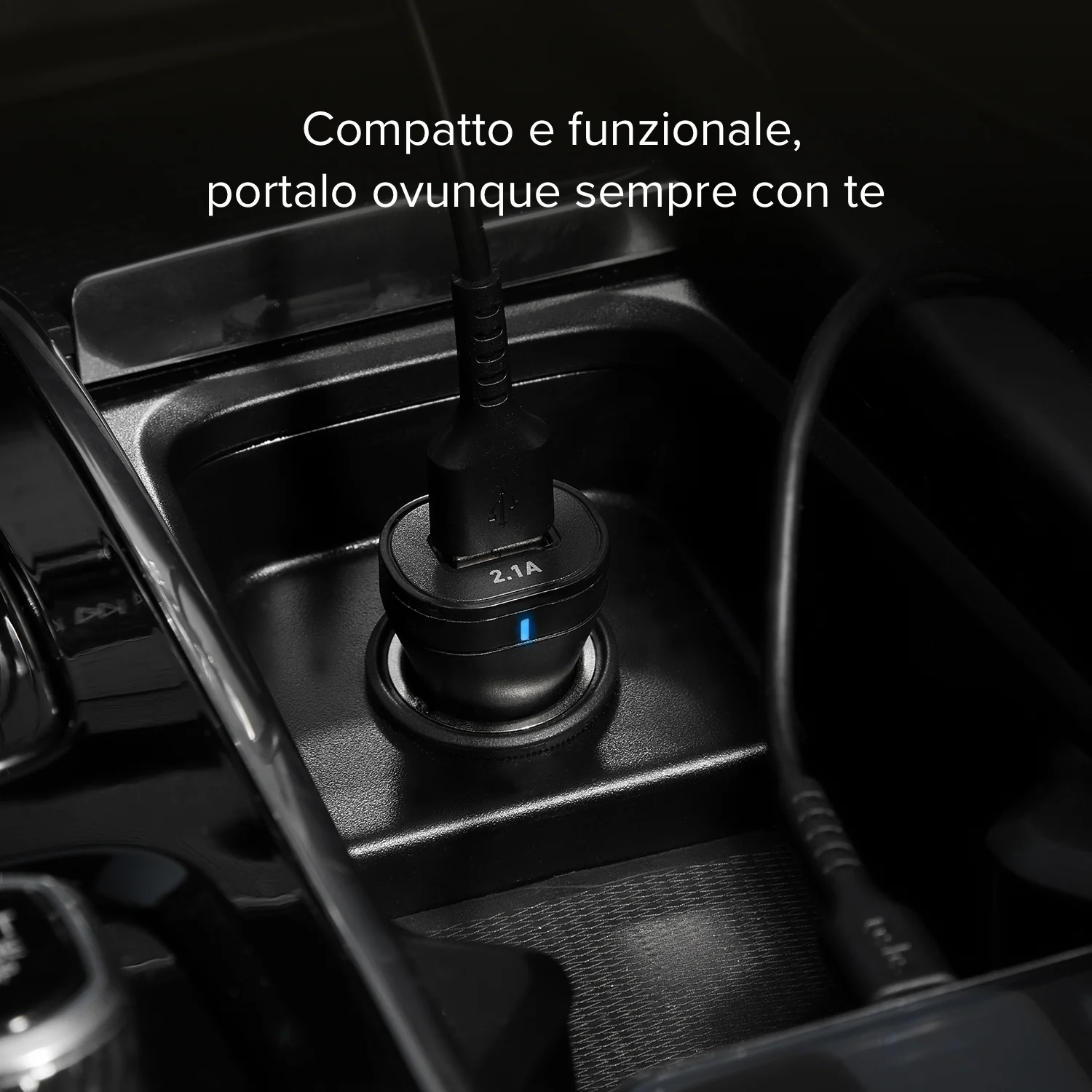Miniatura 9
