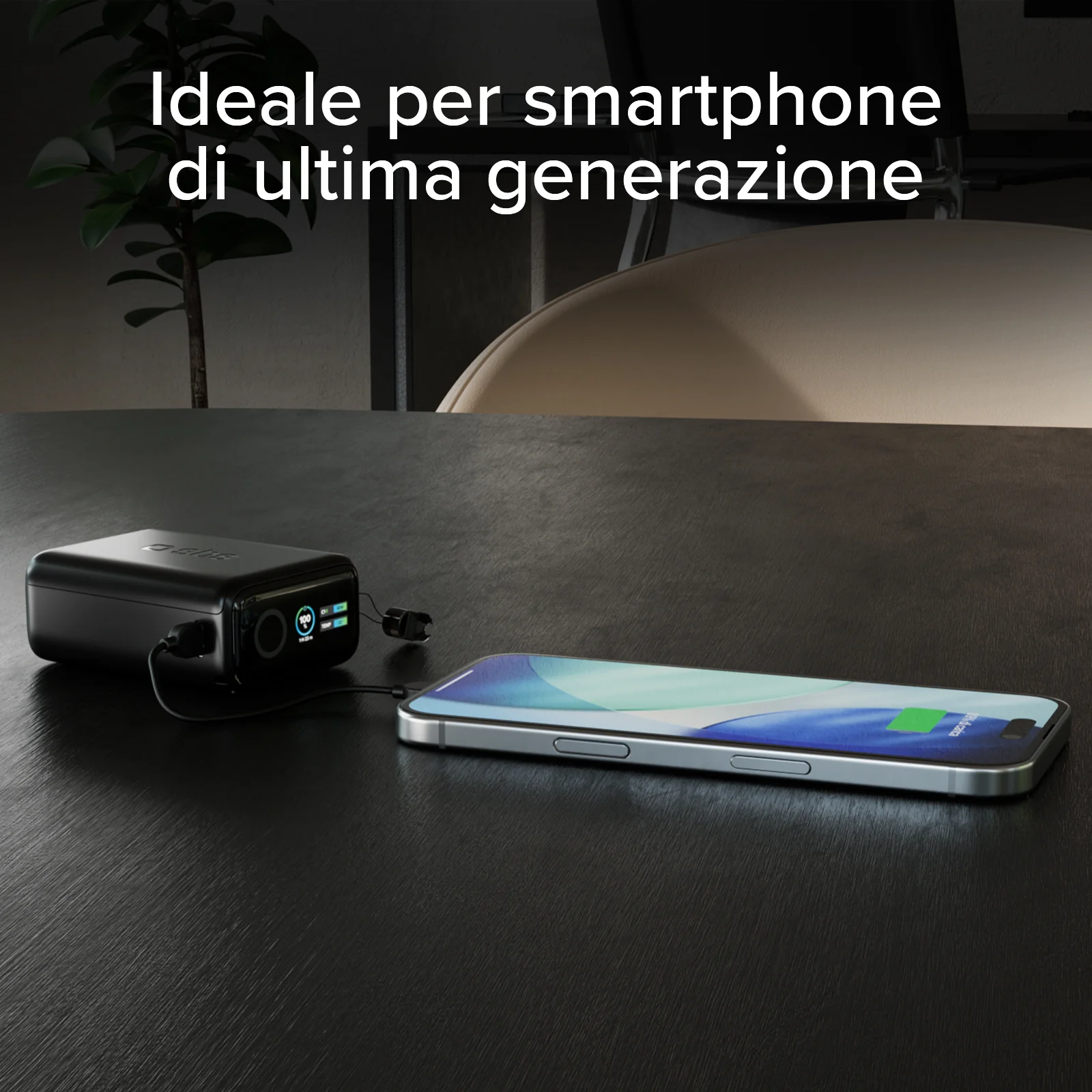 Miniatura 17