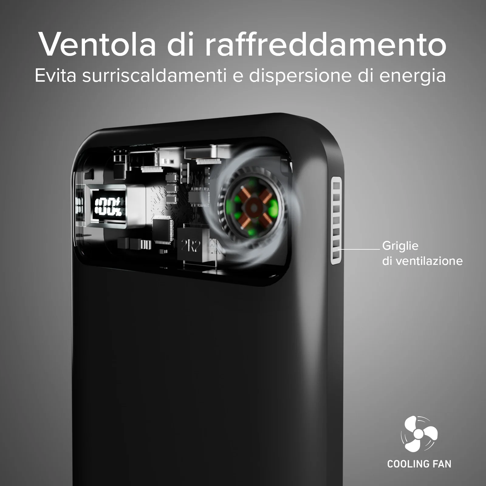 Miniatura 12