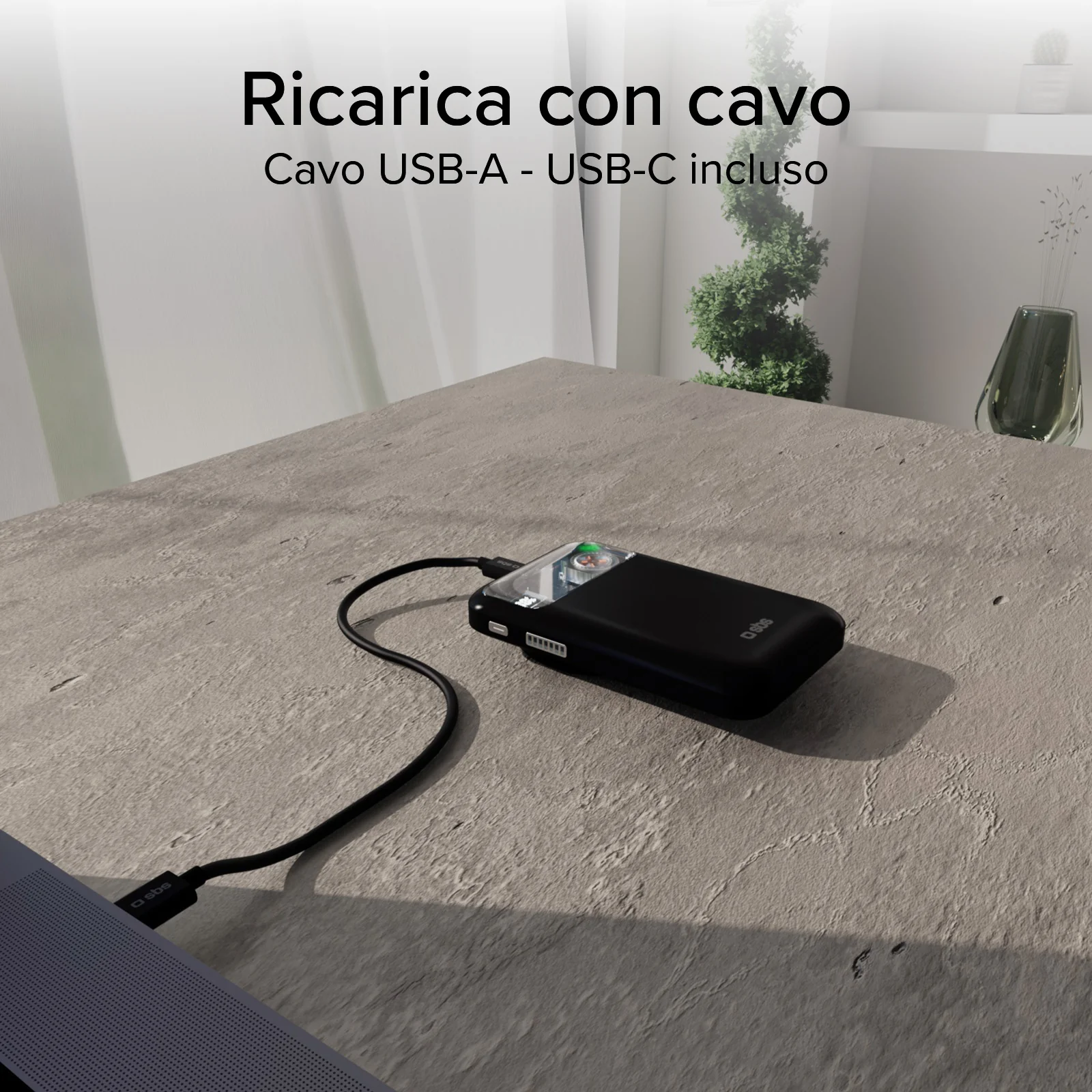 Miniatura 15