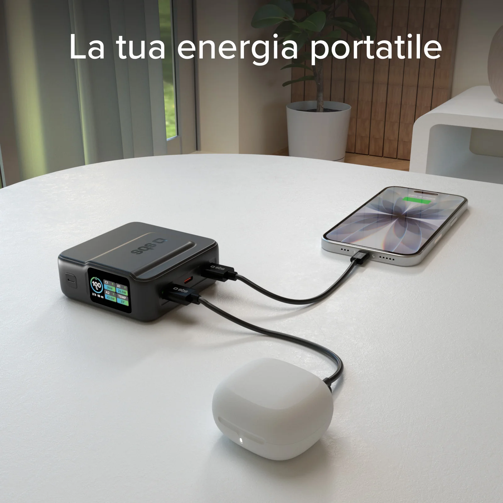 Miniatura 21