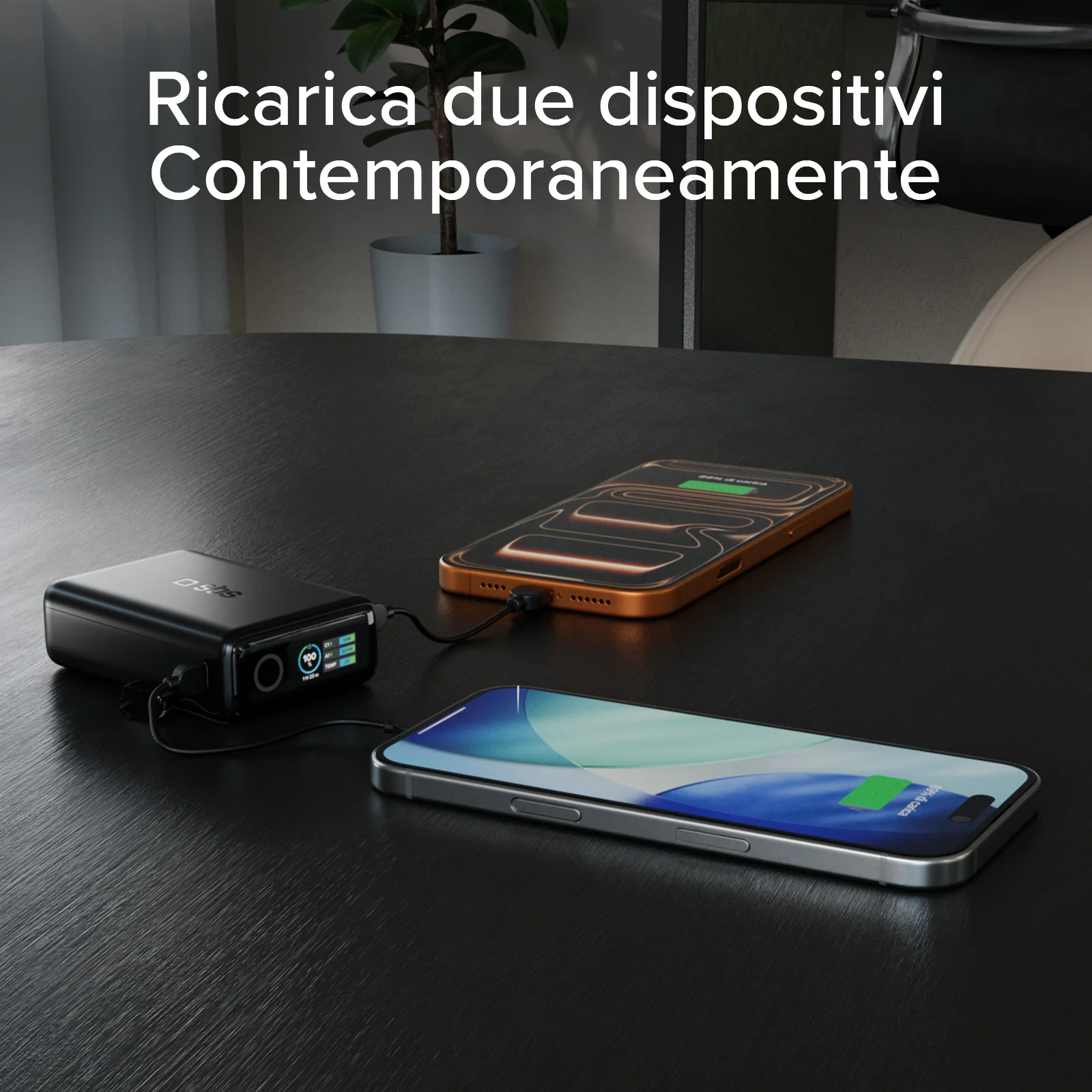 Miniatura 17