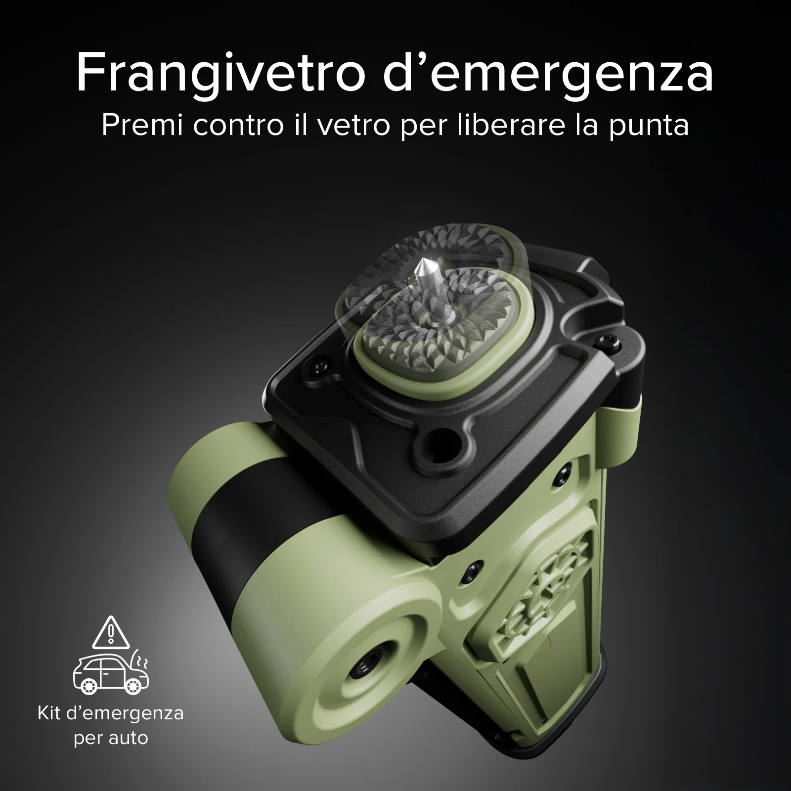 Miniatura 10