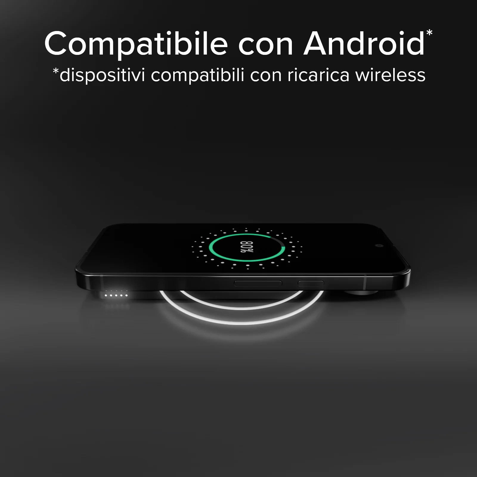 Miniatura 13