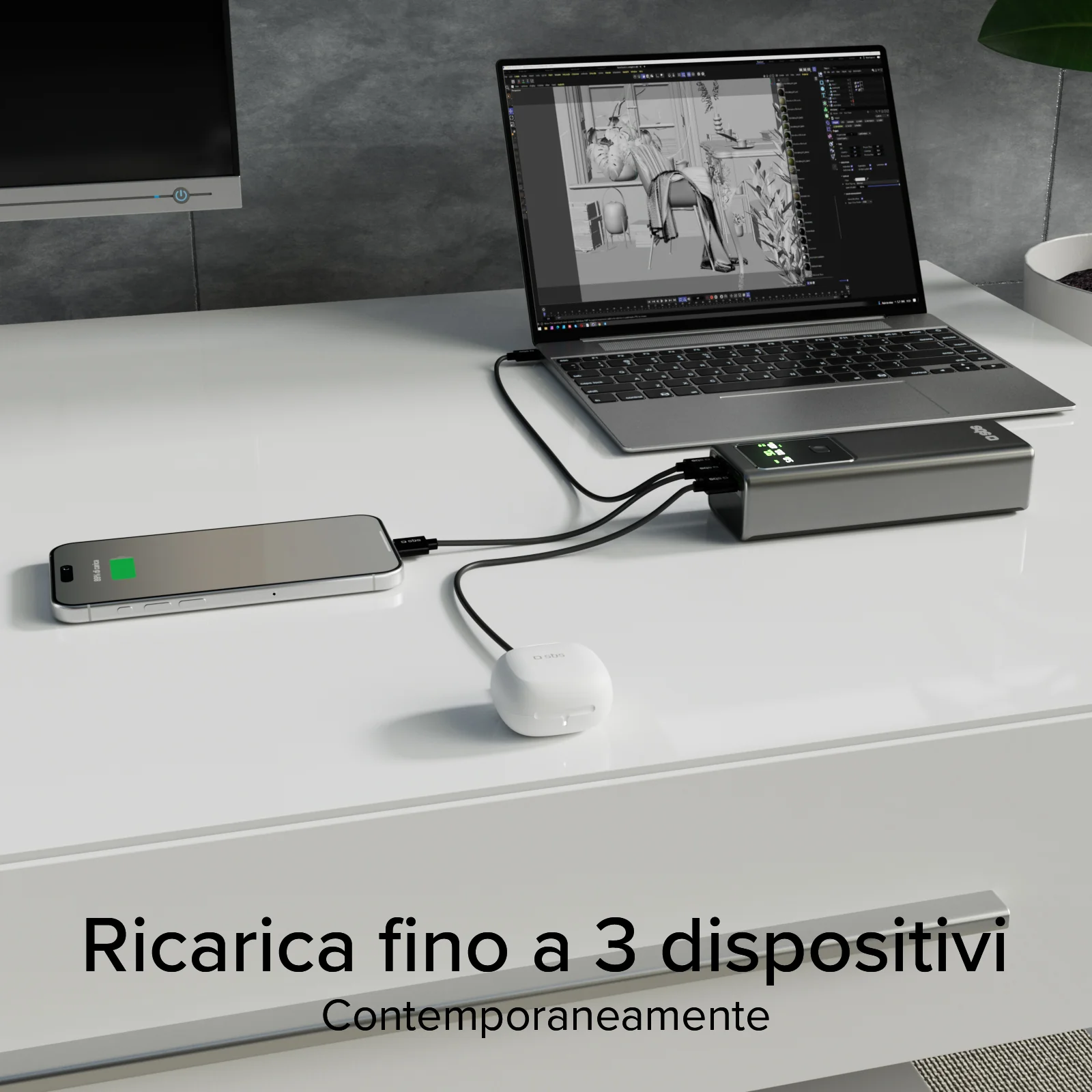 Miniatura 13