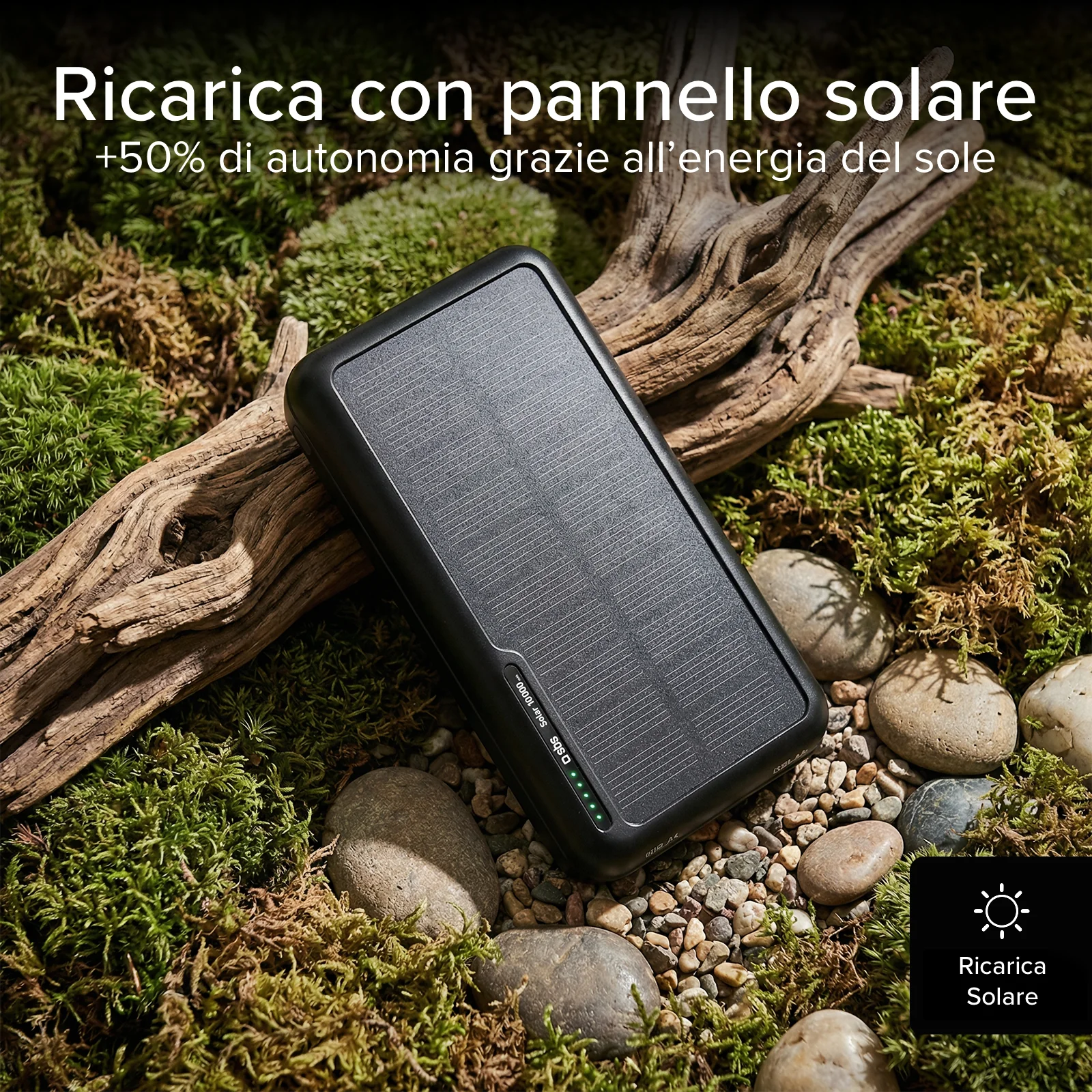 Miniatura 9