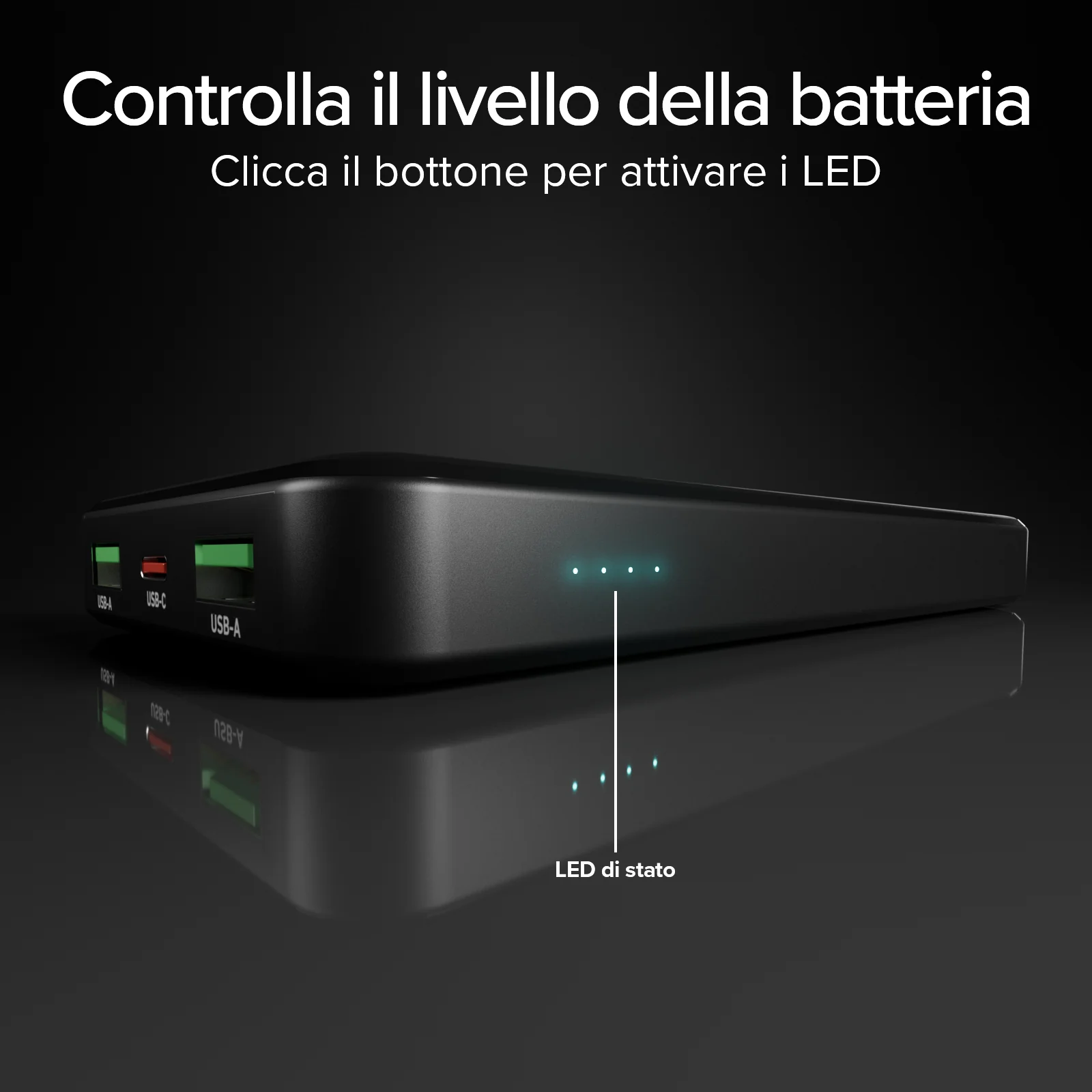 Miniatura 13