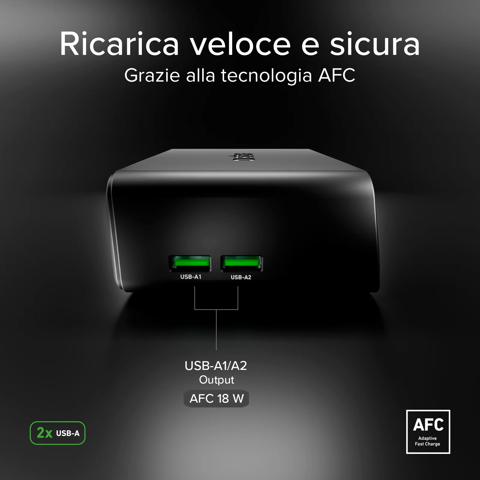 Miniatura 11