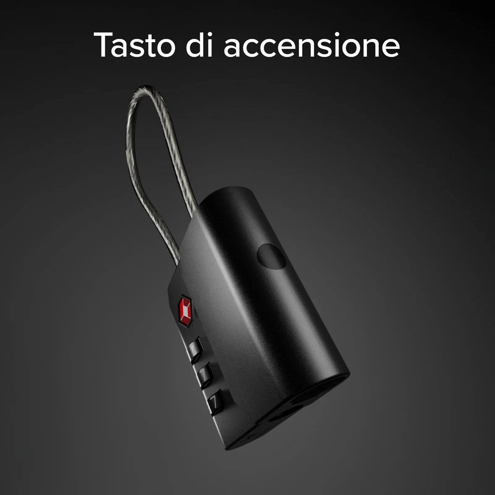 Miniatura 13