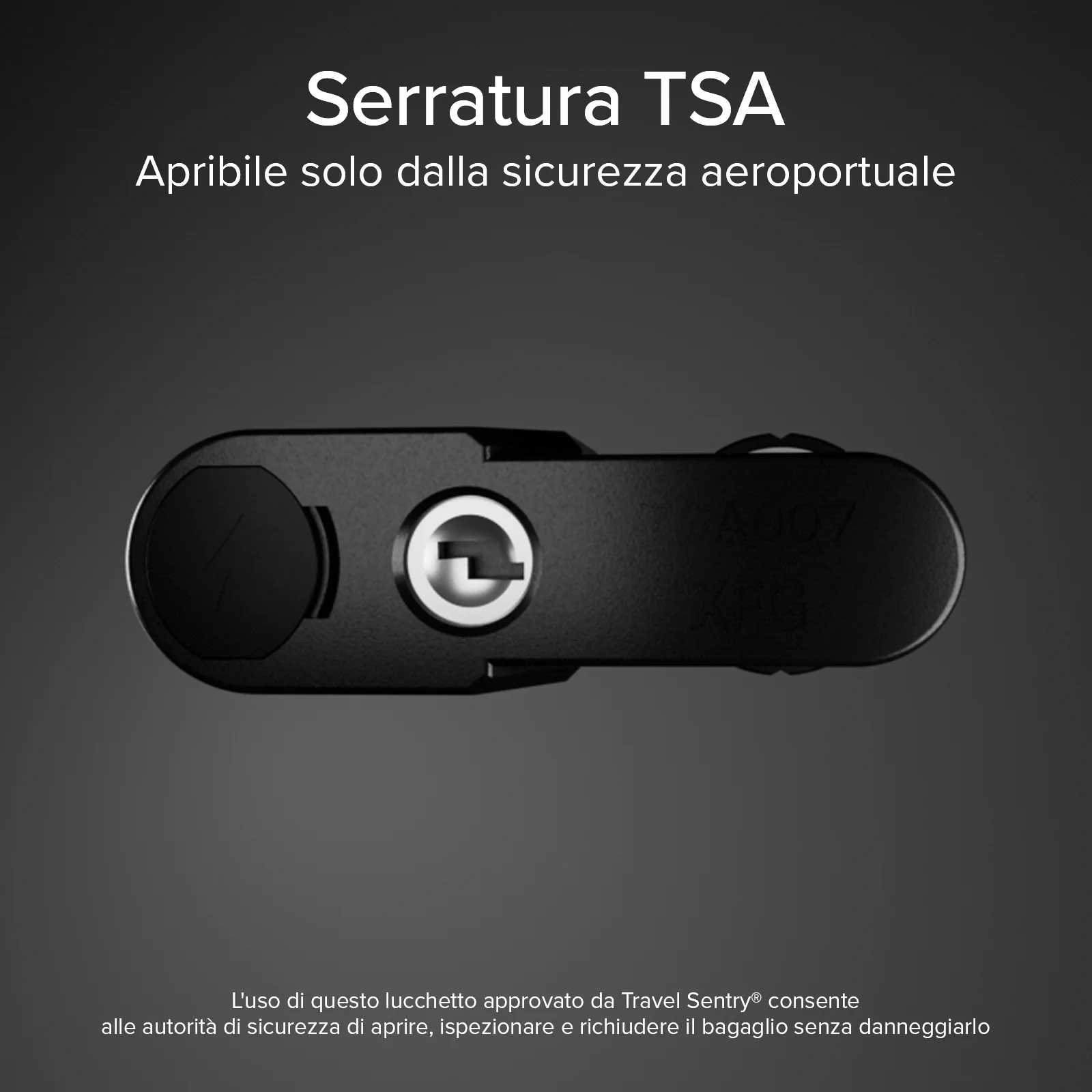 Miniatura 14