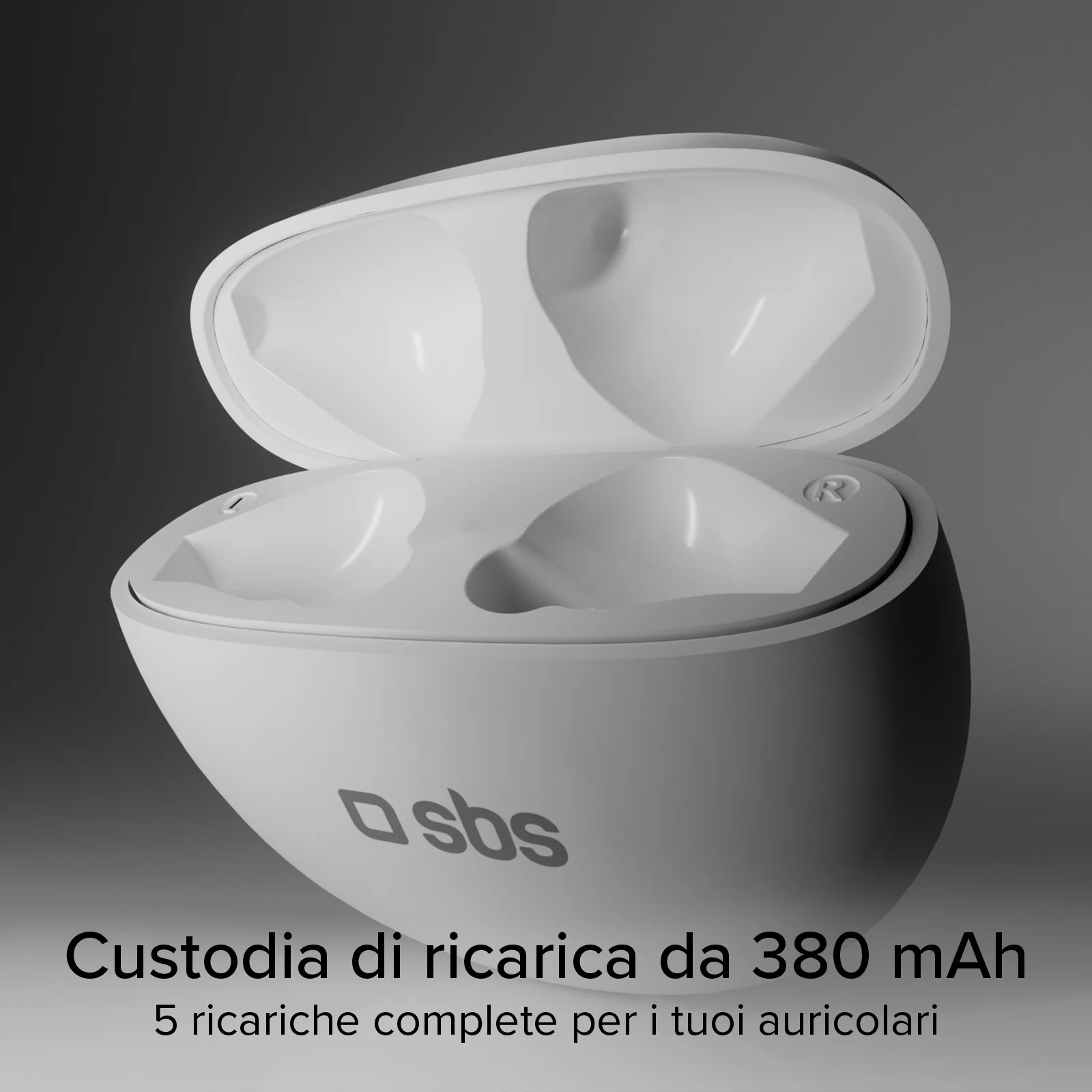 Miniatura 13