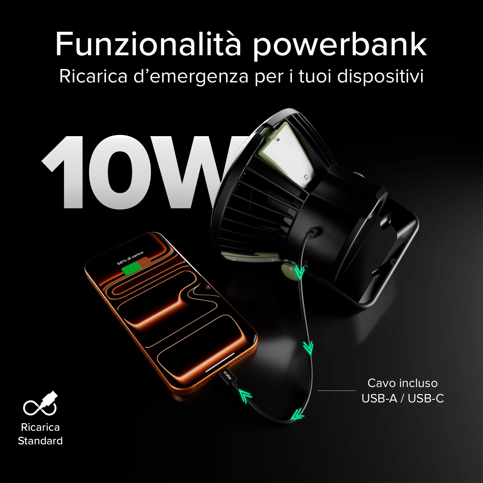 Miniatura 13