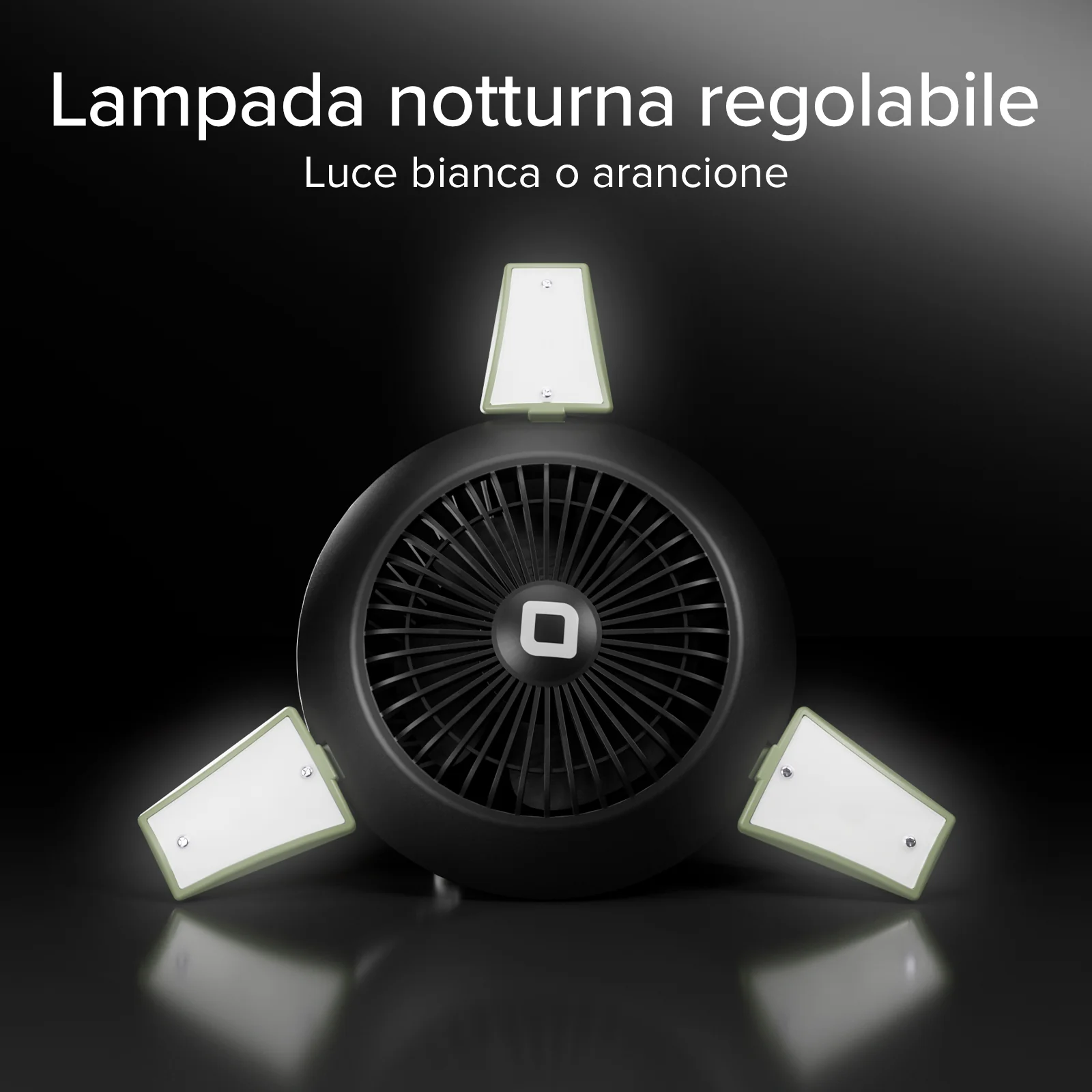 Miniatura 9